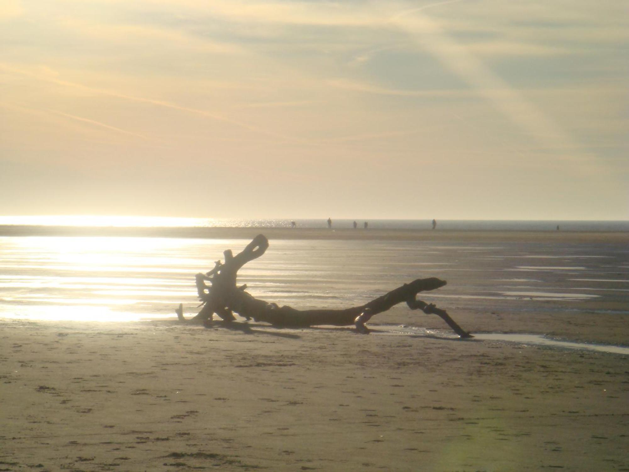 Hotel Twilling Sankt Peter-Ording Exteriér fotografie